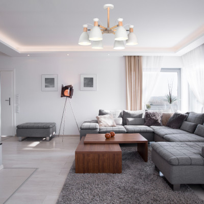 AL6196-1ARD 6*E27*40W 650*430mm білий SCANDY