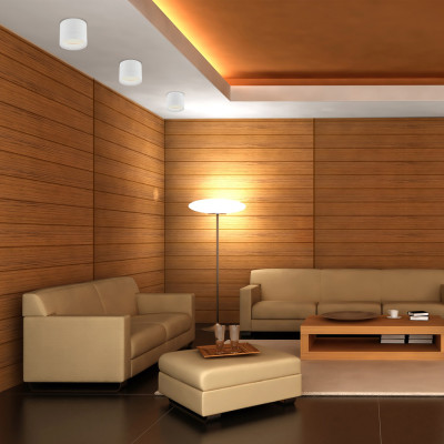 HL353 GX53 білий, круг, 83*70мм